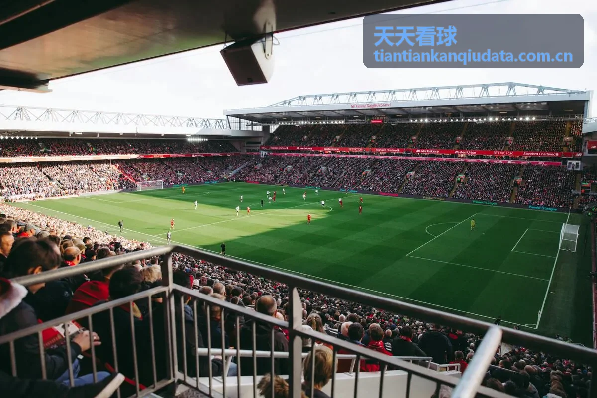 天天看球-CBA季后赛展望